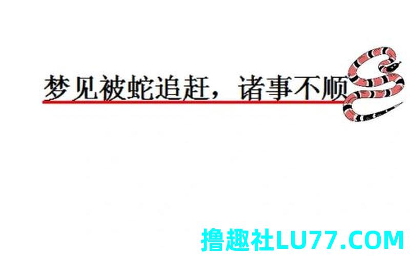 梦见黑白蛇追我