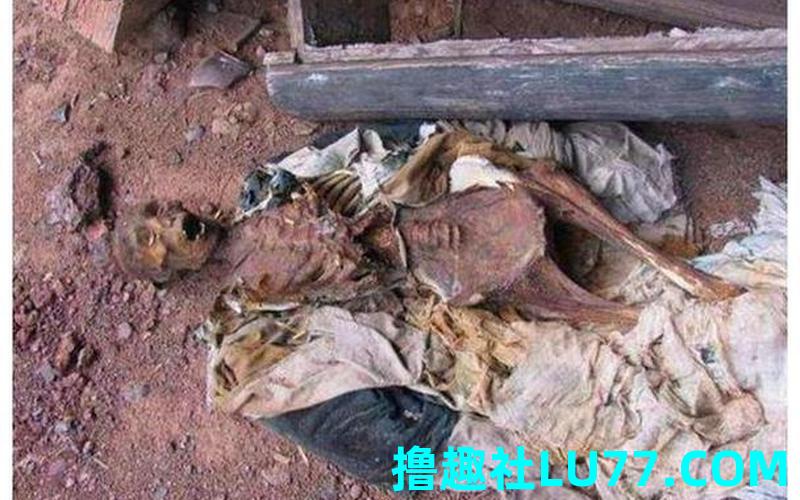 梦见棺材里死人腐烂