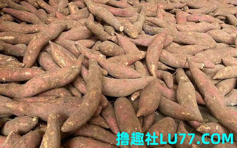 解梦见买番薯