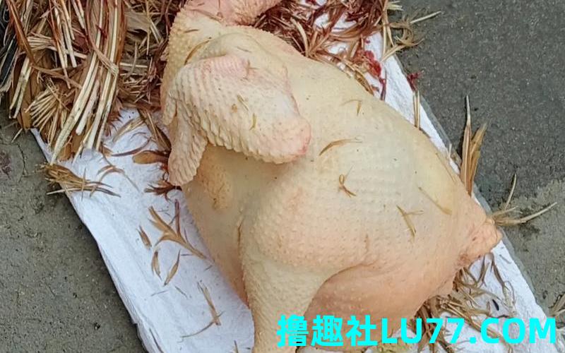 梦见妈妈杀鸡