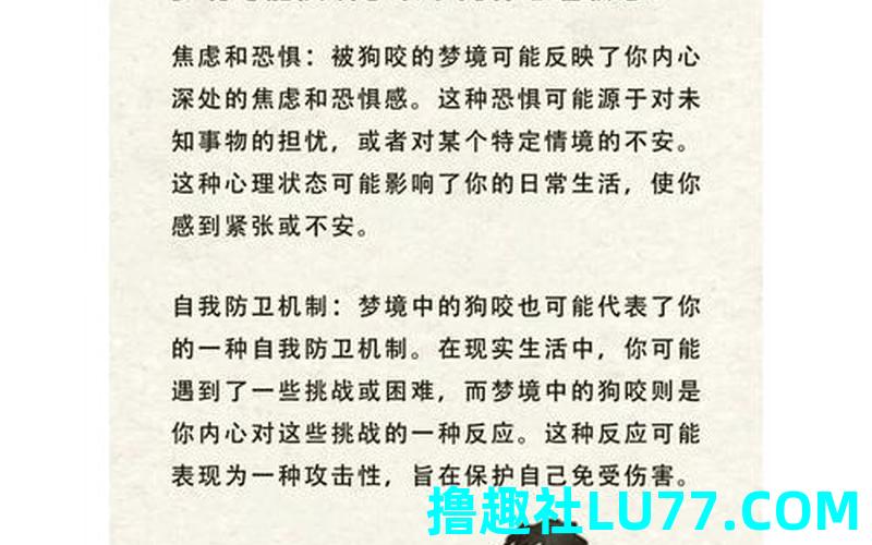 梦见被海豚咬
