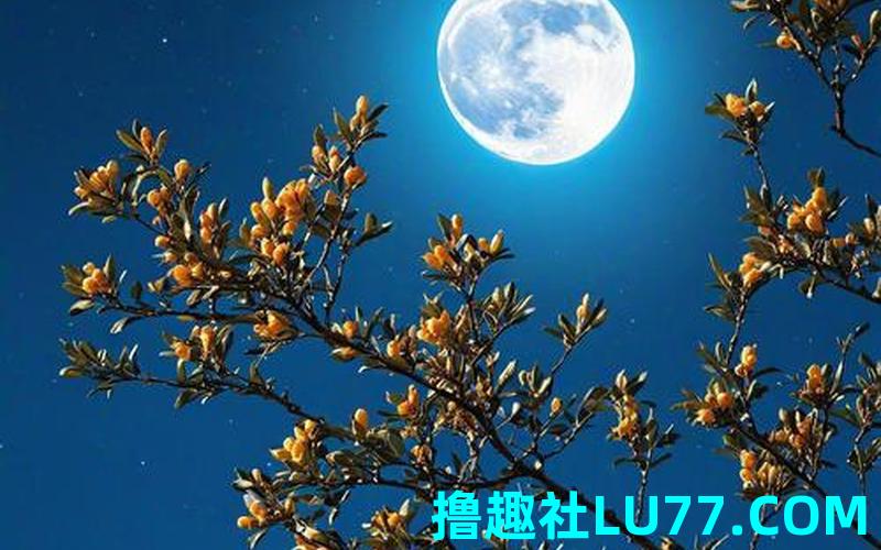 梦见贡月亮