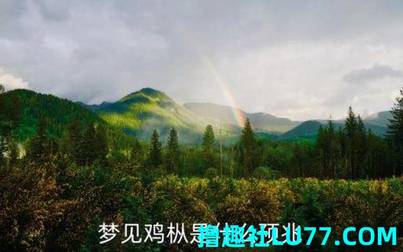 梦见鸡纵是什么意思 梦见鸡纵是什么意思