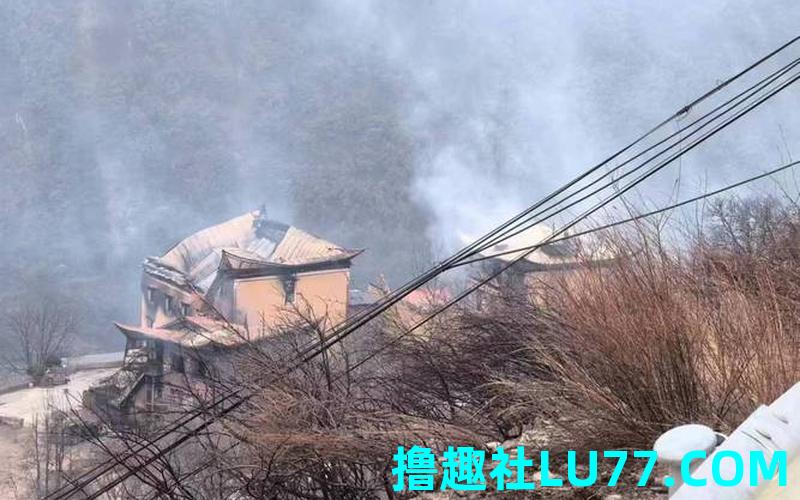 梦见雪松着火 梦见雪松着火