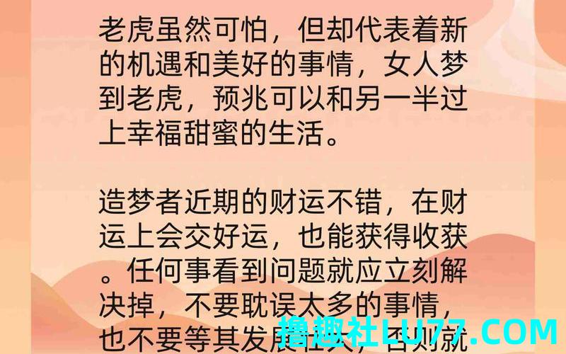 梦见虎和你玩 梦见虎和你玩