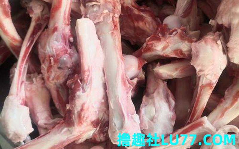梦见羊骨头架子 梦见羊骨头架子