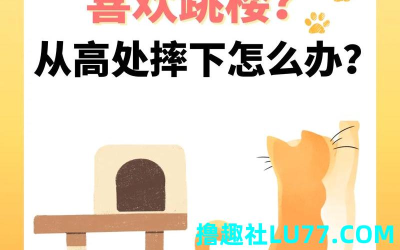 梦见猫跳窗