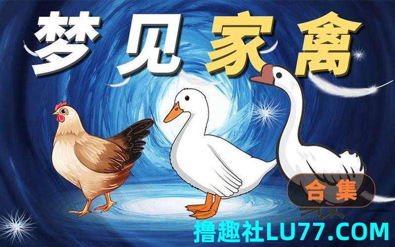 梦见床上有鹅