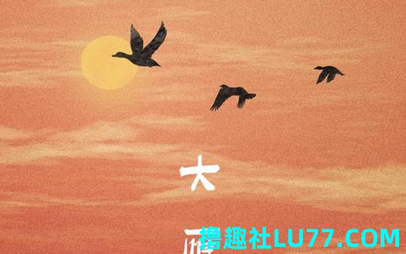 梦见大雁羽毛 梦见大雁羽毛