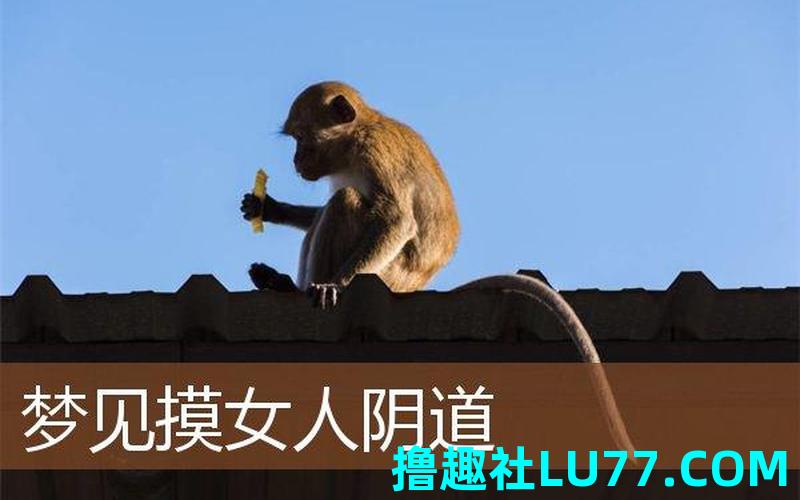 梦见阴部