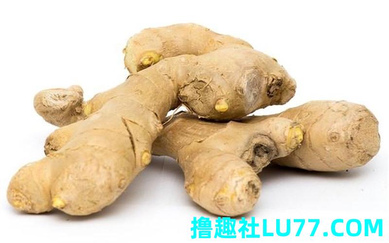 梦见我捡姜 梦见我捡姜