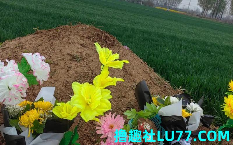 梦见认错坟