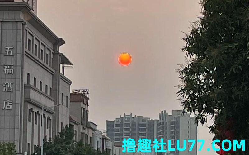 梦见露天厕所