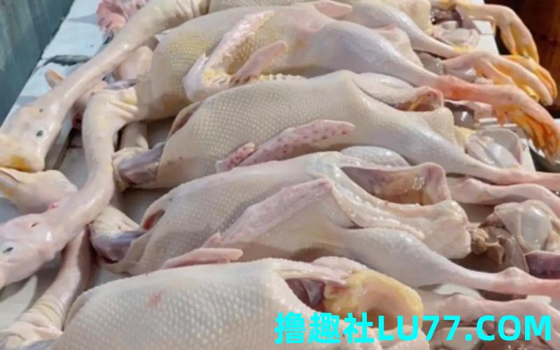 梦见死鹅 梦见死鹅