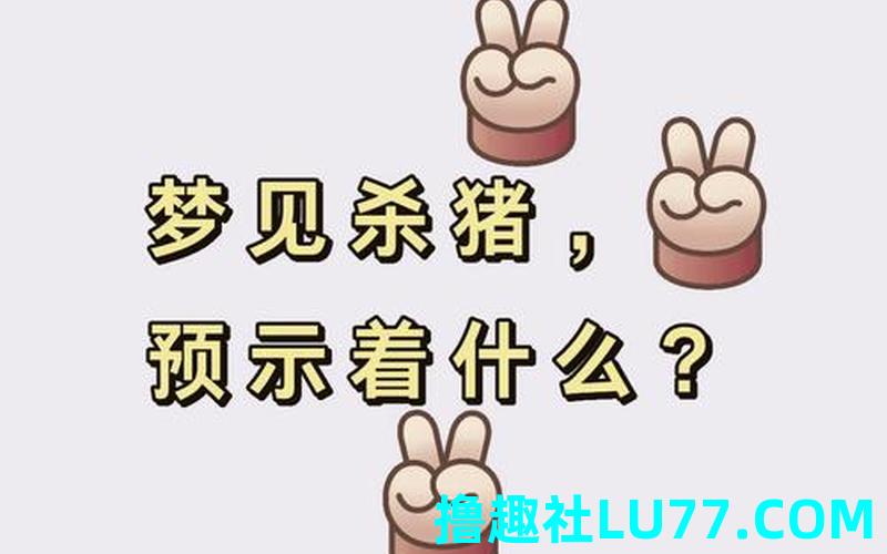 梦见野猪声音