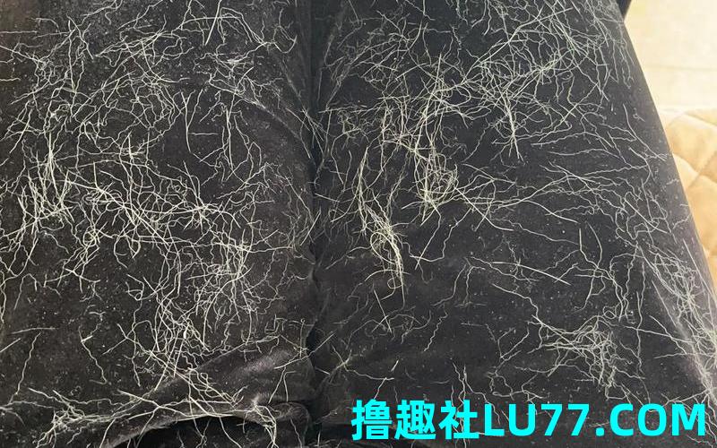梦见 毛掉了 梦见 毛掉了