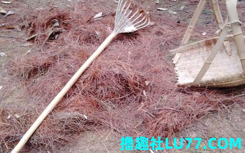 梦见拾起柴火 梦见拾起柴火