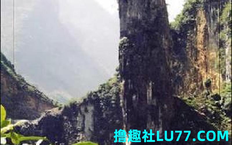 胎梦梦见山