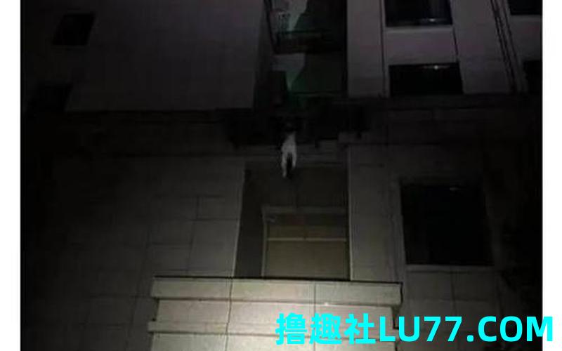 梦见楼透底