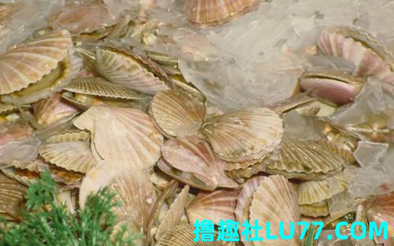 梦见蜯