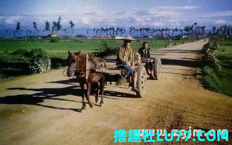 梦见自己坐马车赶路