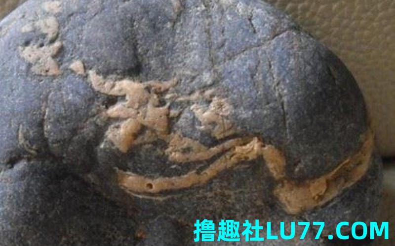 梦见龙形石头 梦见龙形石头