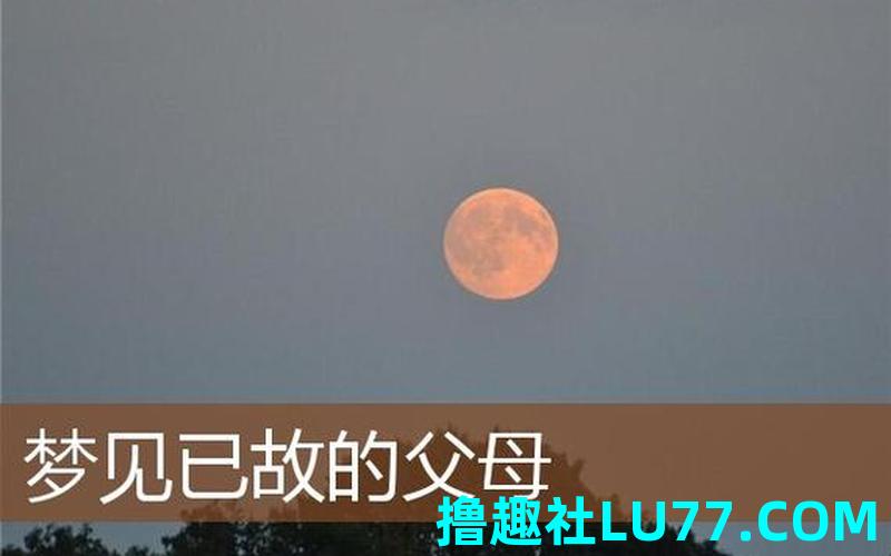 梦见父母复合