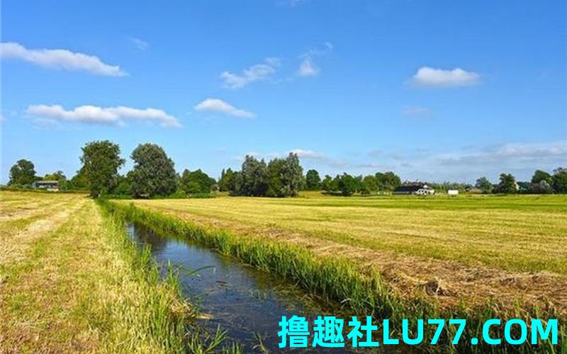 梦见别人挖水沟 梦见别人挖水沟