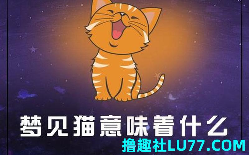 梦见死小猫