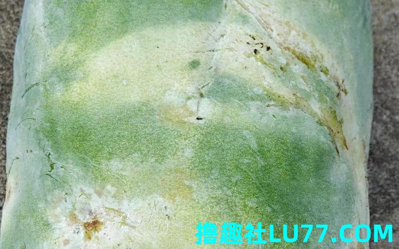 女人梦见冬瓜周公解梦
