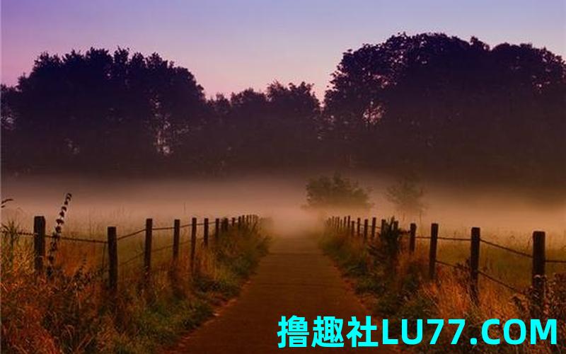 梦见搬运篱笆