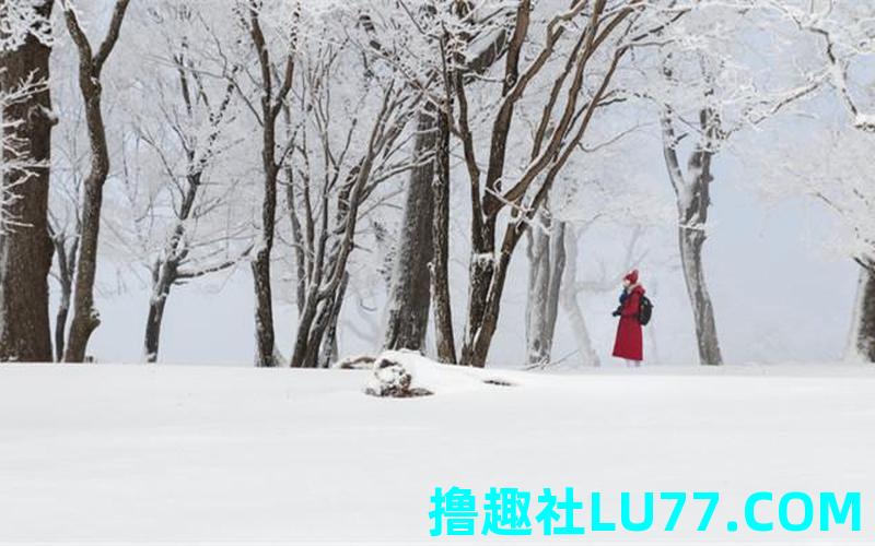 梦见雪花飘是什么征兆
