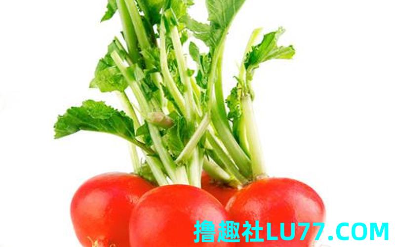 梦见熬萝卜菜