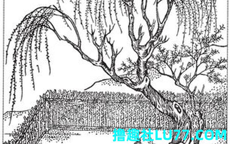 中央梦见桂