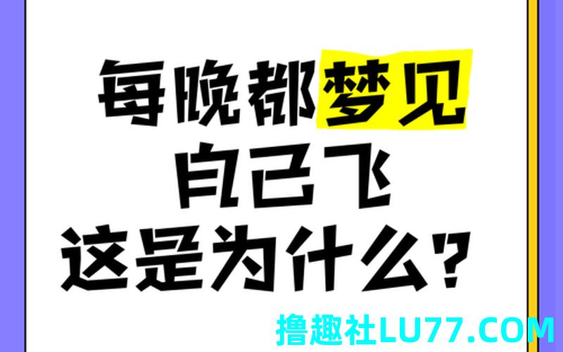飞梦见