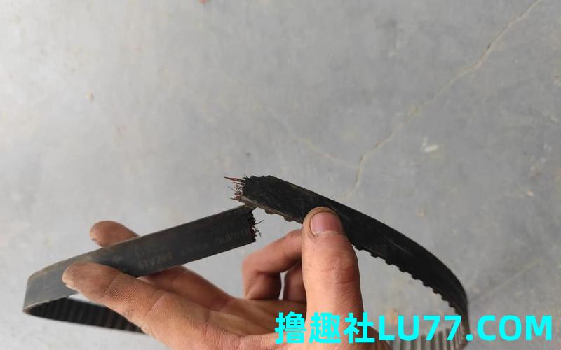 梦见皮带发霉 梦见皮带发霉