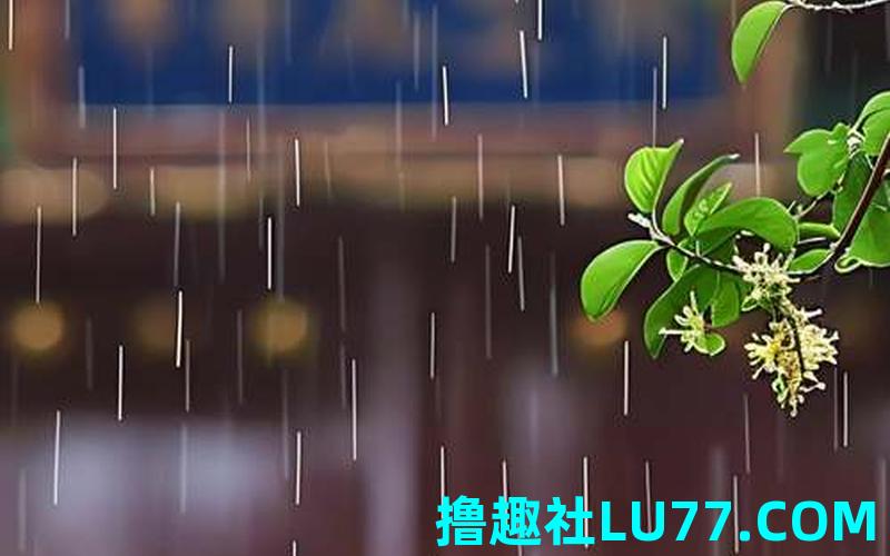 梦见雨中的植物 梦见雨中的植物
