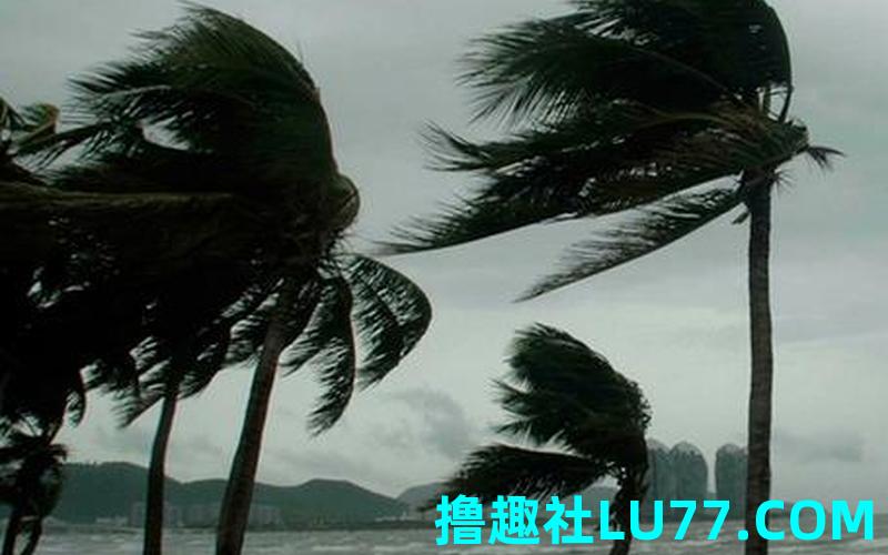 梦见自己被大风刮飞起来