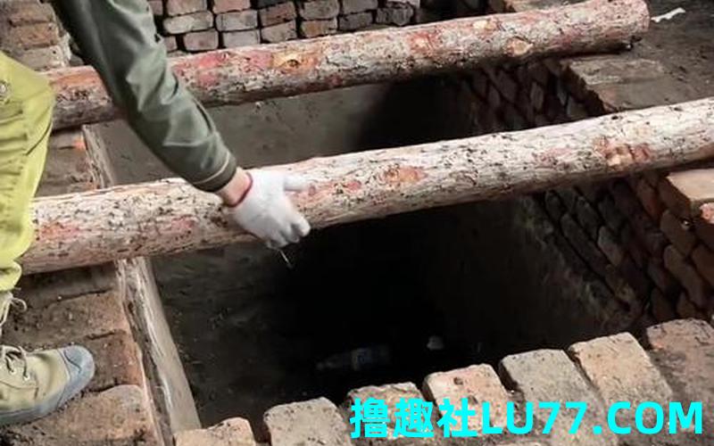梦见食堂菜窖