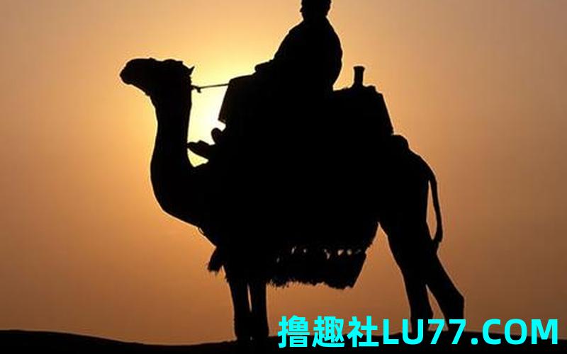 梦见骑骆驼是什么兆头
