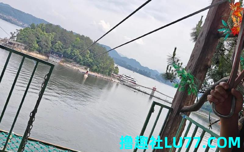 梦见坐揽车 梦见坐揽车