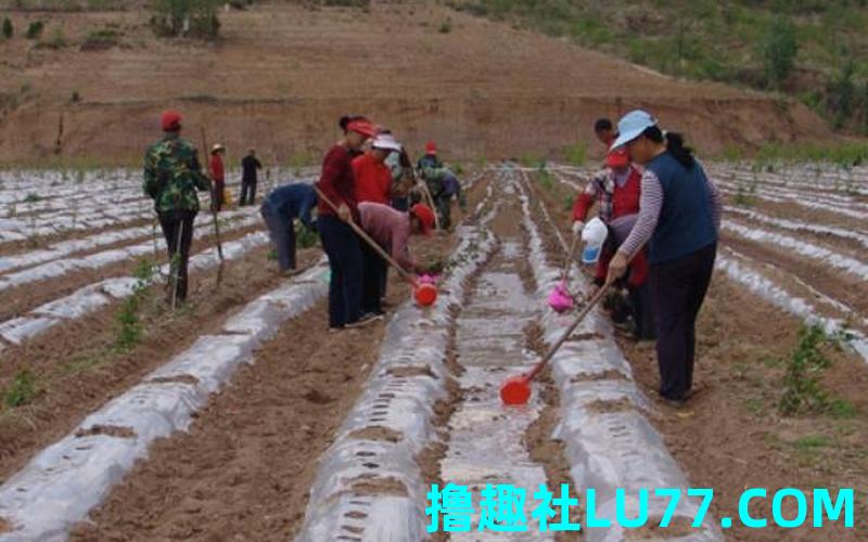 梦见载红著
