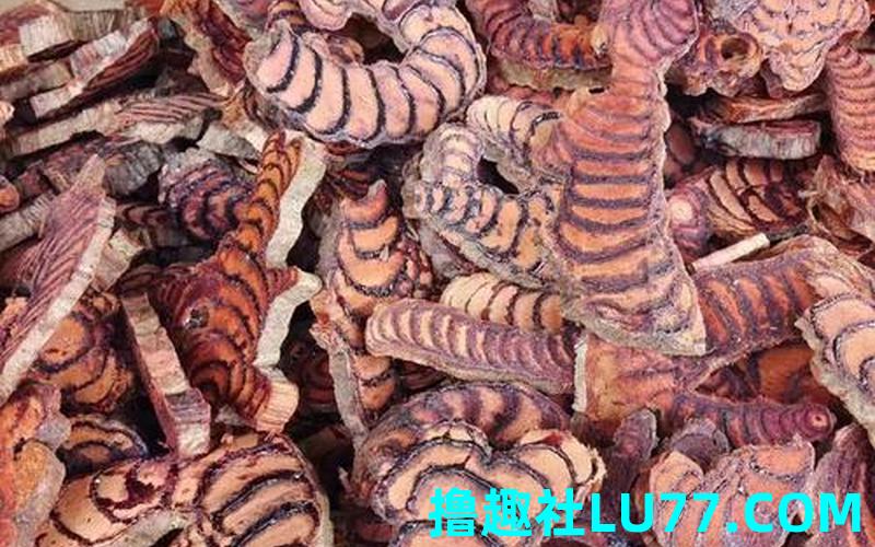 梦见捡到鸡血藤