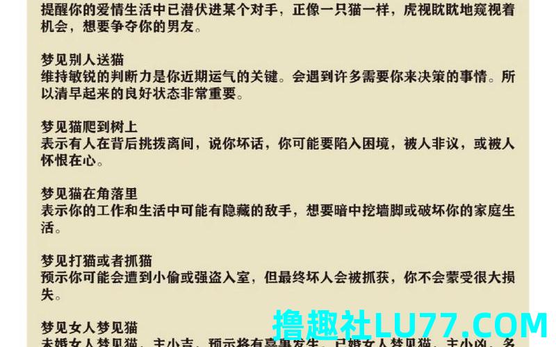 梦见与猫较量 梦见与猫较量