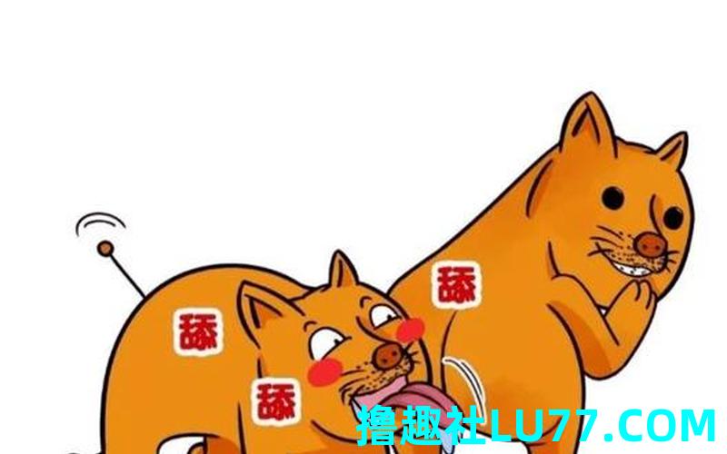 梦见舔狗毛 梦见舔狗毛