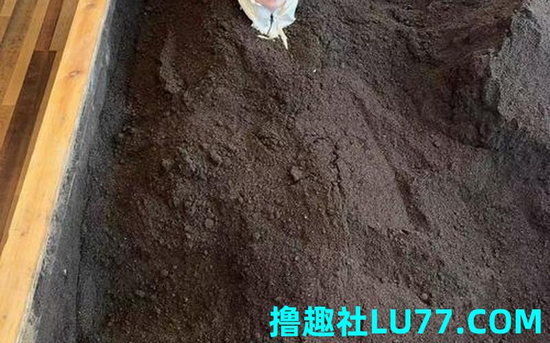 梦见泥浆
