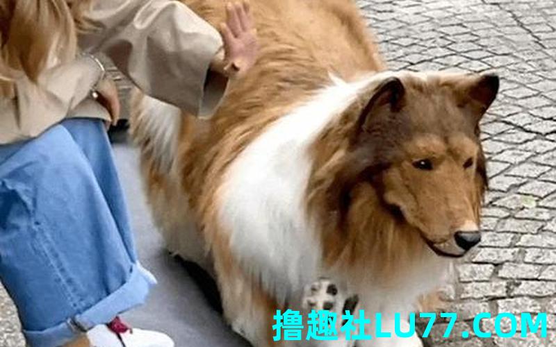 梦见狗变成人 梦见狗变成人