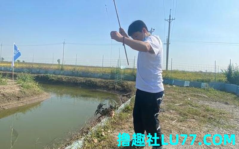 梦见钓鱼却钓上螃蟹是什么意思