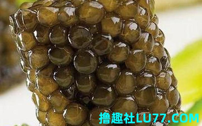 梦见在抓鱼籽