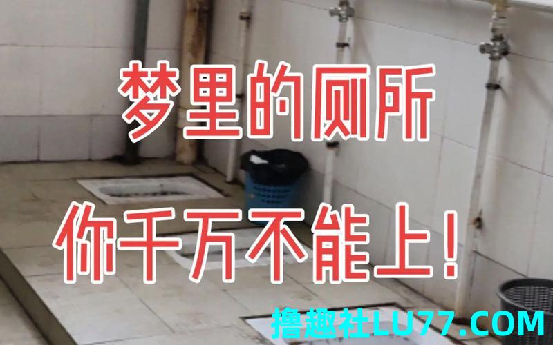 做梦梦见上厕所 做梦梦见上厕所